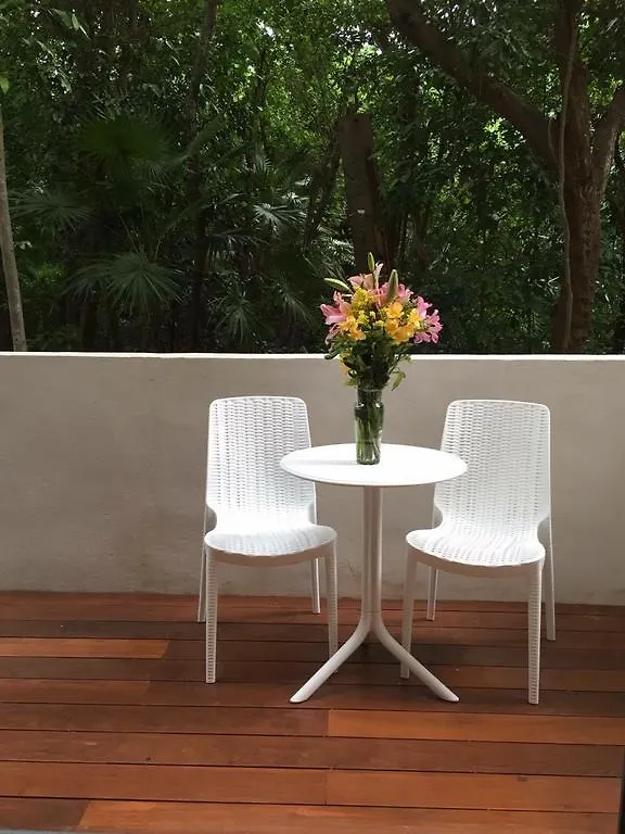 Apartamento Condominio Terrazas Playa del Carmen